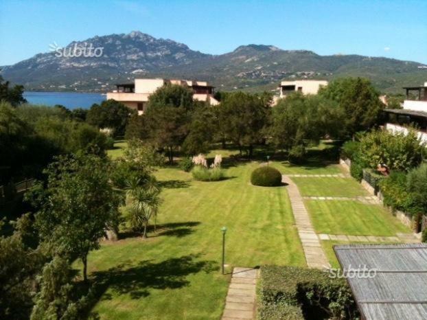 Porto Rotondo Lovely Apartment Eksteriør bilde